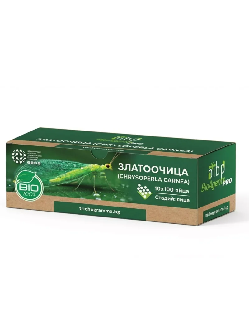 ЗЛАТООЧИЦА (CHRYSOPERLA CARNEA) 10 х 100 ЯЙЦА (1000)