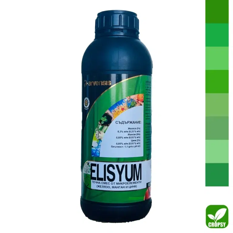 ЕЛИСИУМ (ELYSIUM)
