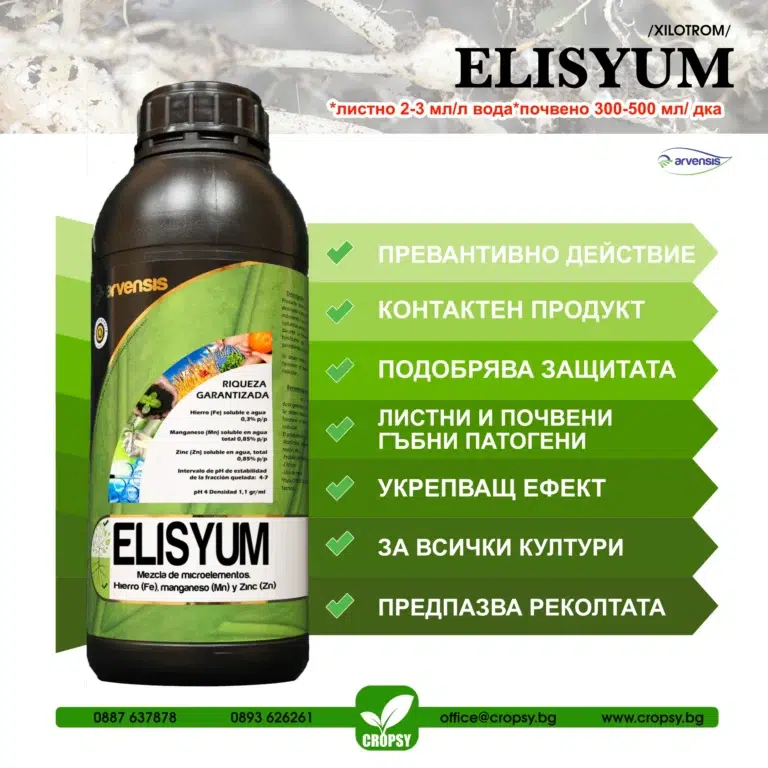 ЕЛИСИУМ (ELYSIUM) - Image 3