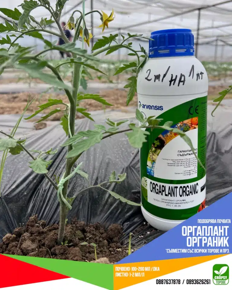 ОРГАПЛАНТ ОРГАНИК (ORGAPLANT ORGANIC) - Image 3