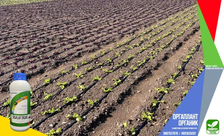 ОРГАПЛАНТ ОРГАНИК (ORGAPLANT ORGANIC) - Image 5