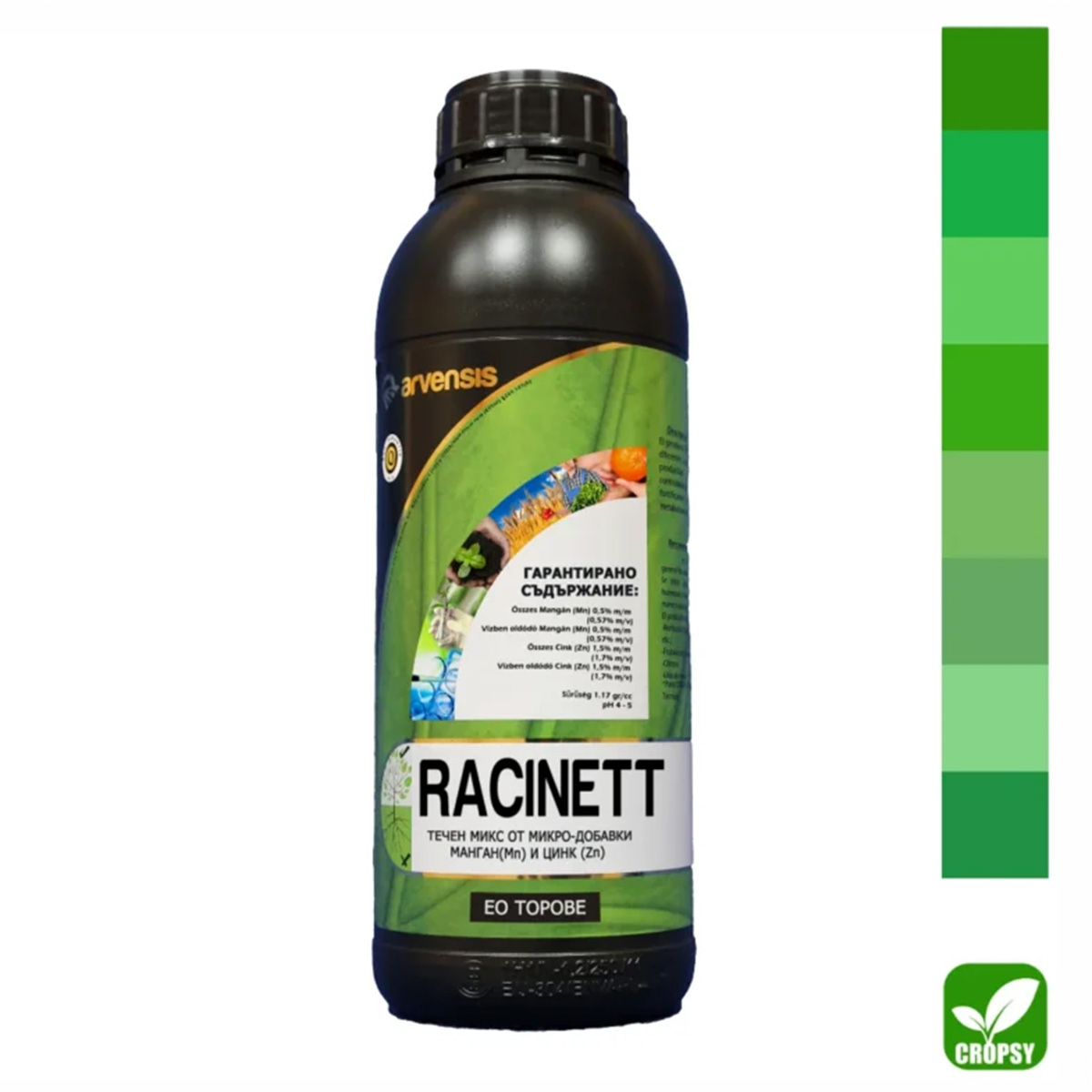 РАСИНЕТ (RACINETT)