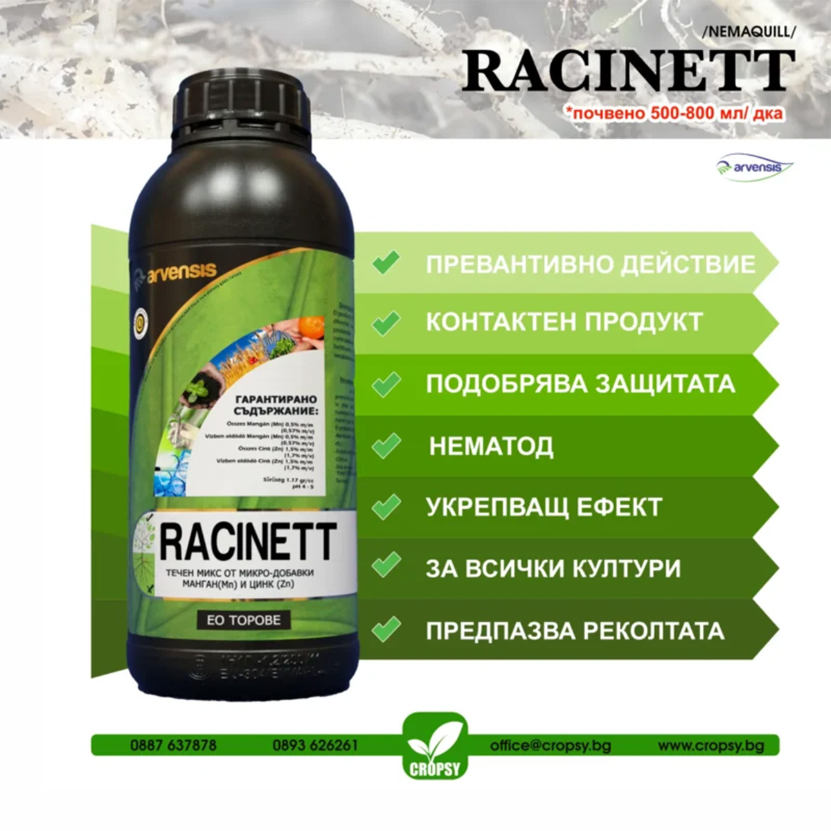 РАСИНЕТ (RACINETT) - Image 3