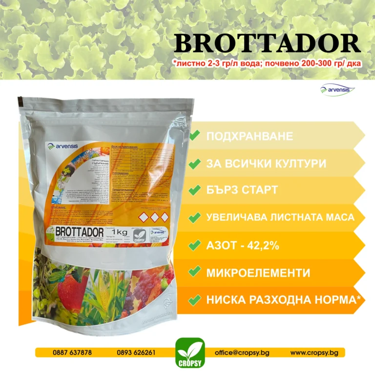 БРОТАДОР (BROTTADOR) - Image 3